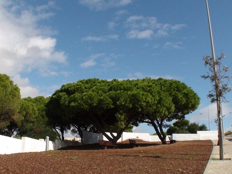 Cheerfulway Valmangude Jardim Apartamentos Albufeira Exteriör bild